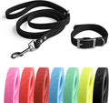 4.2FT Dog Collar and Leash Set, PVC Waterproof Adjustable Odor Proof Pet by Unknown