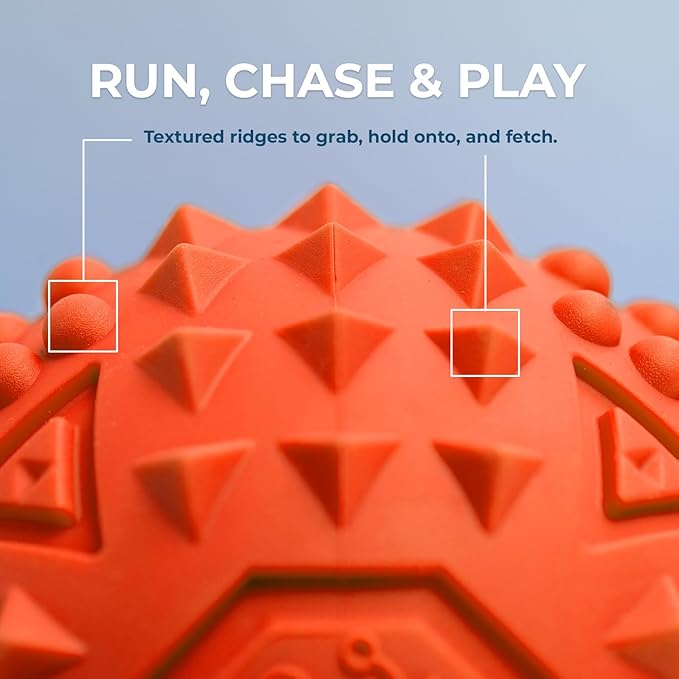 Best Pet Supplies Squeaky Dog Toys - Image 3