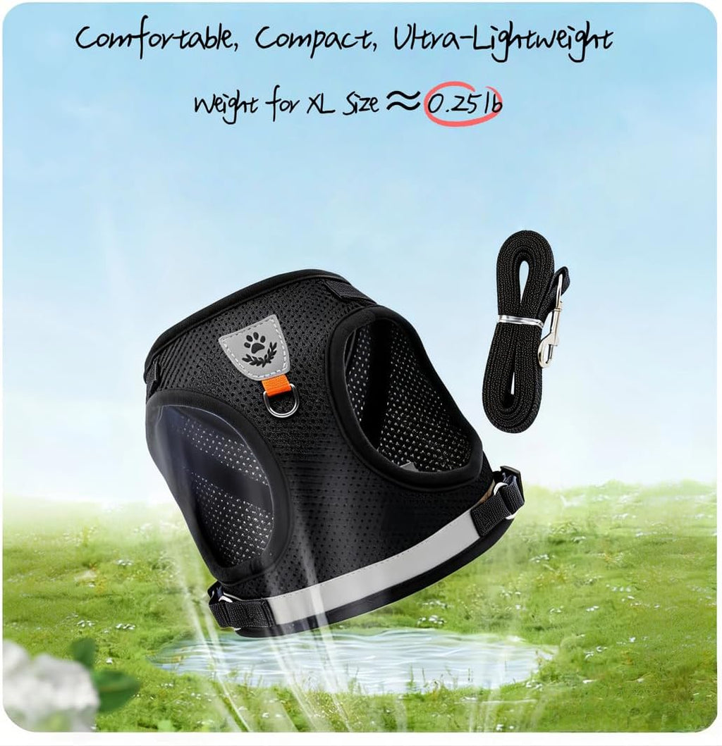 Pet Harness Vest with Leash for Small Medium Dogs Cats-No Pull Step-in Pet Vest Breathable Soft Lightweight Harness and Leash Set for Puppy Kitty Bunny-Black-L