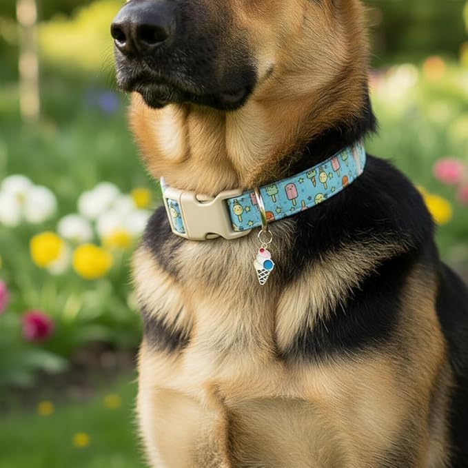 Cute Dog Collar, Girl Boy Dog Collar - Image 5