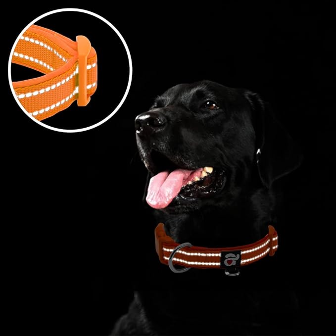 azuza Reflective Dog Collar, Soft Neoprene Padded Pet Collar - Image 4