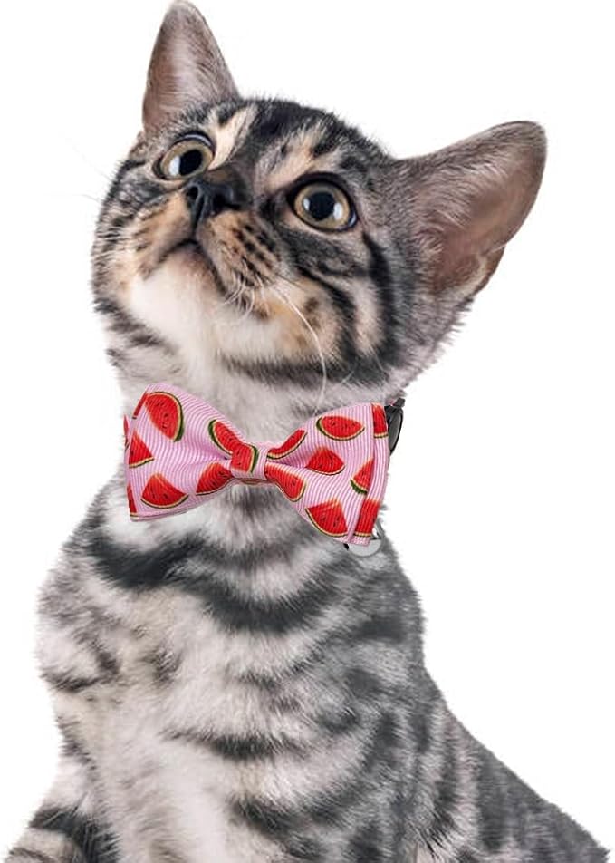 Fruit Cat Collar with Bow Tie and Bell 3 Pack Watermelon Strawberry and - Image 6