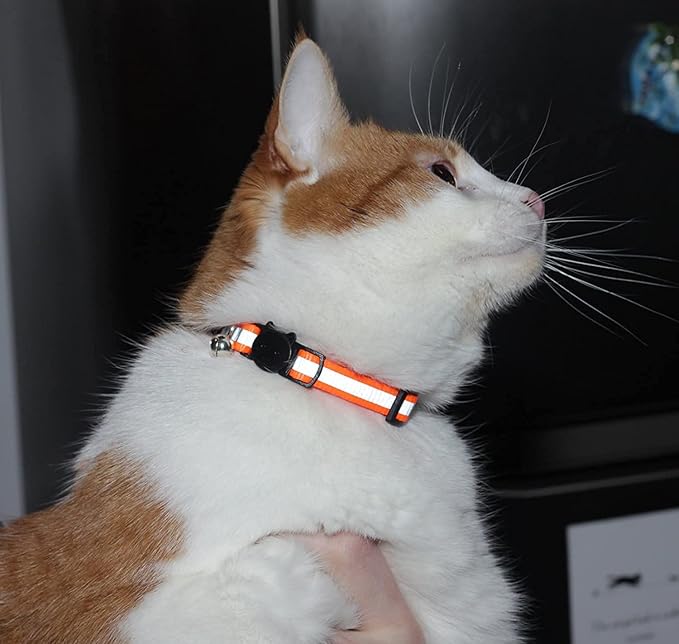 Reflective Cat Collar with Bell, Solid & Safe Collars - Image 2