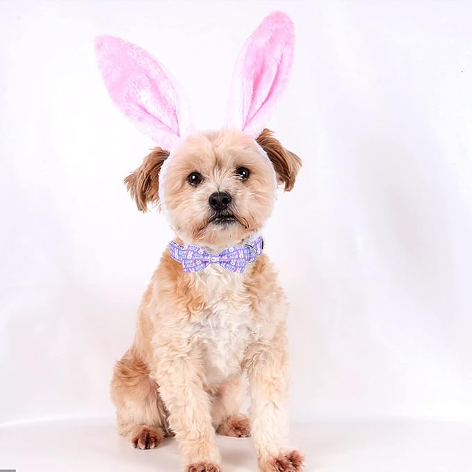 MR. CHUBBYFACE Easter Dog Collar Rabbit Puppy Collar - Image 5
