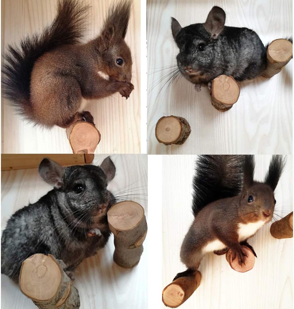 QBLEEV 3 PCS Hamster Chew Toys for Teeth, Chinchilla Cage Stick Accessories