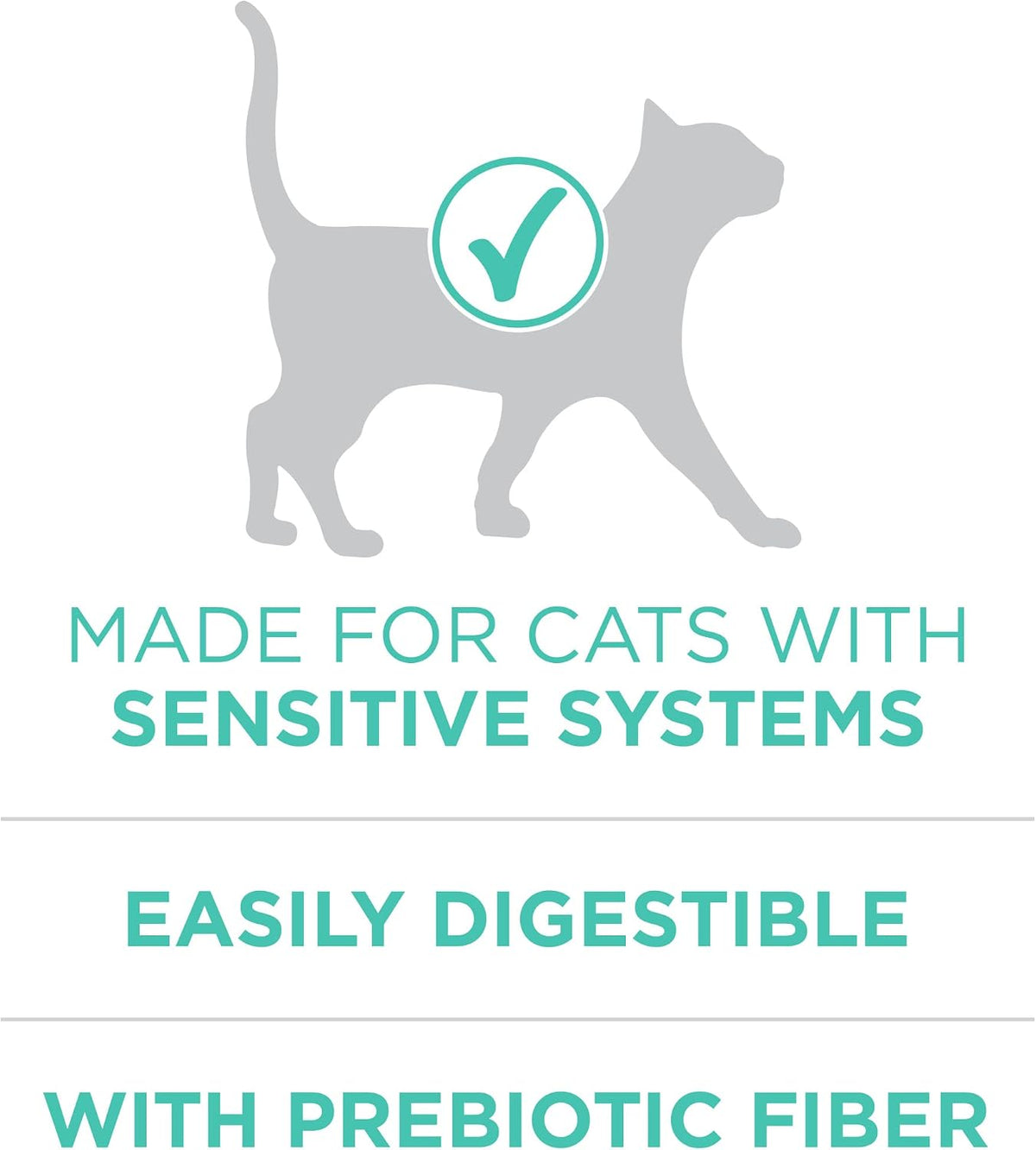 Purina ONE Sensitive Skin and Stomach Dry Cat Food 16 lb Bag