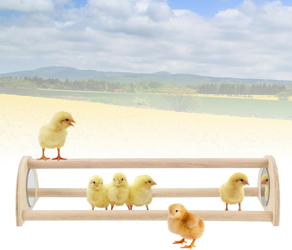 JEUIHAU 2 PCS 13 Inch Chick Training Perch, Freestanding Chicken Roosting Bar, Small Chicks Perches Chicken Roosting Bar for Parrots Chicks