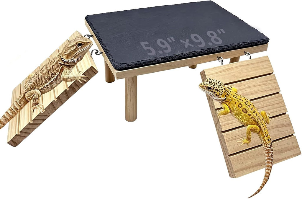 Bearded Dragon Basking Platform with Climbing Ramp & Reptile Rock