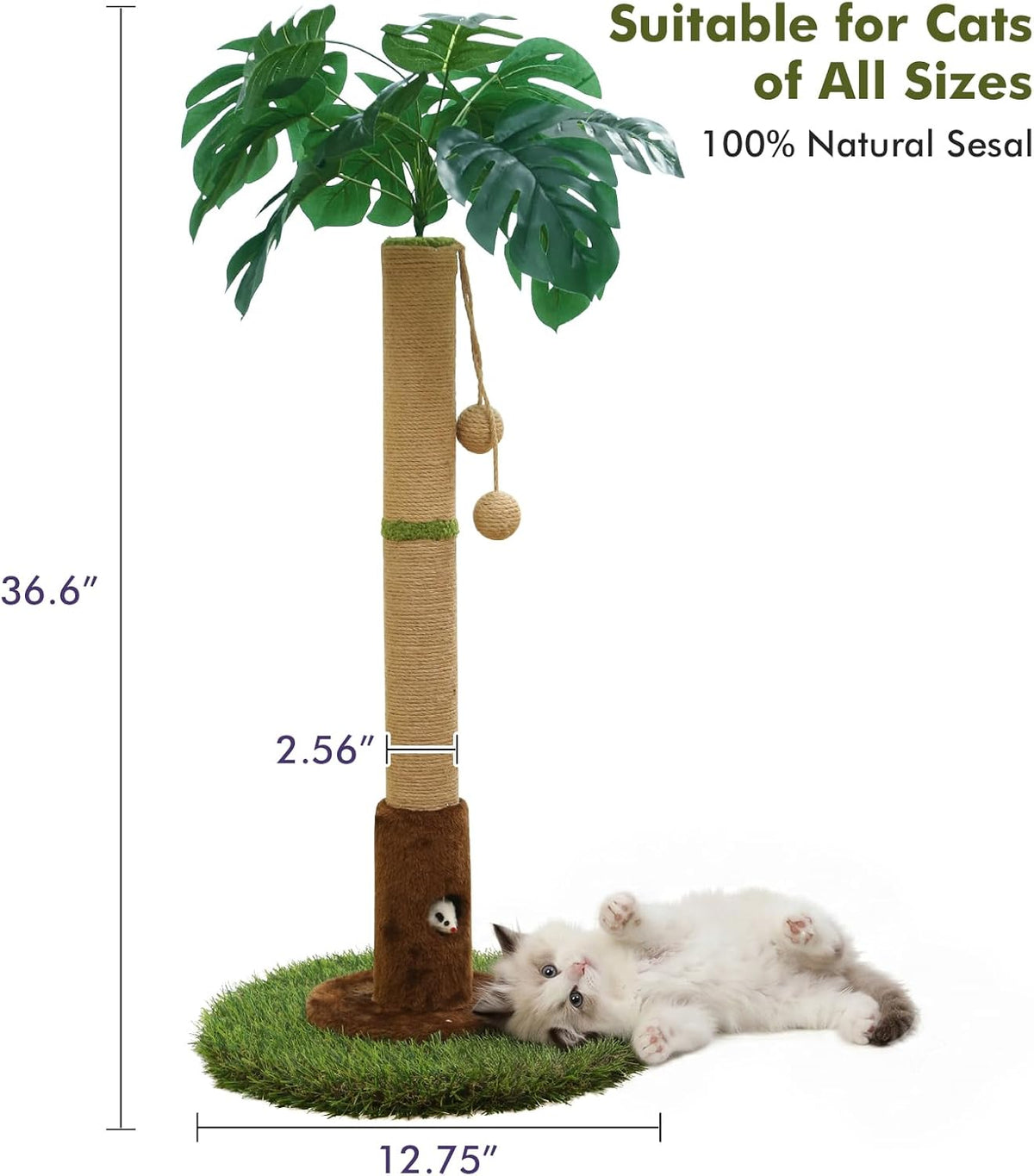 Woochpet 35" inch Cat Scratching Post,sisal cat Scratcher Tree with Leaves