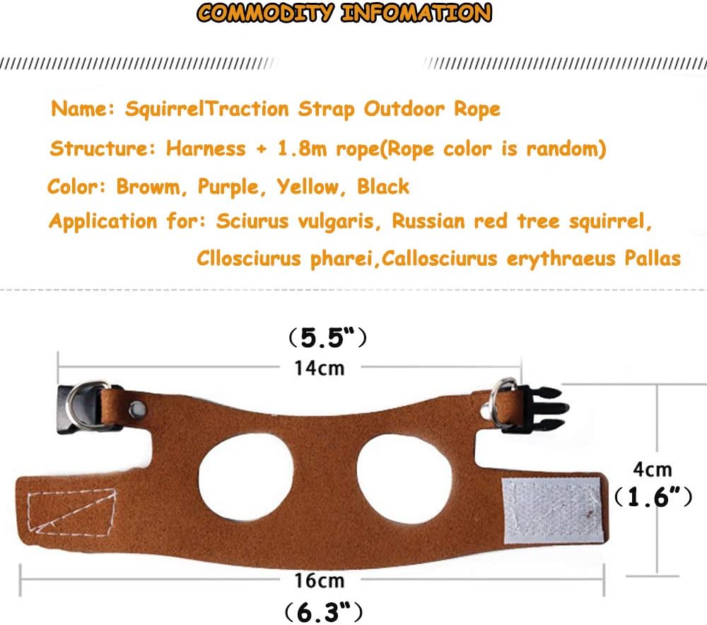 Squirrel Traction Rope Strap Anti-Biting Chain Rope, Adjustable Vest, Small Animal Walking Harness with Lead Leash, Hamster Gerbil Rat Mouse Ferret Chinchilla Small Animal Walking Leash