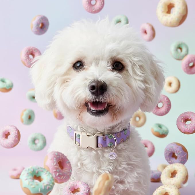 Girl Dog Collar with Unique Purple and Donut Print, Cute Dog Collar - Image 7