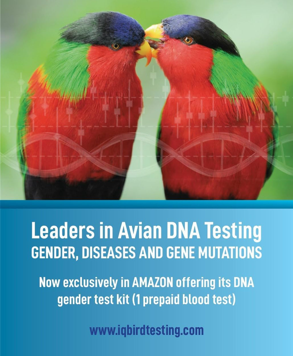 Bird DNA Gender Test Kit