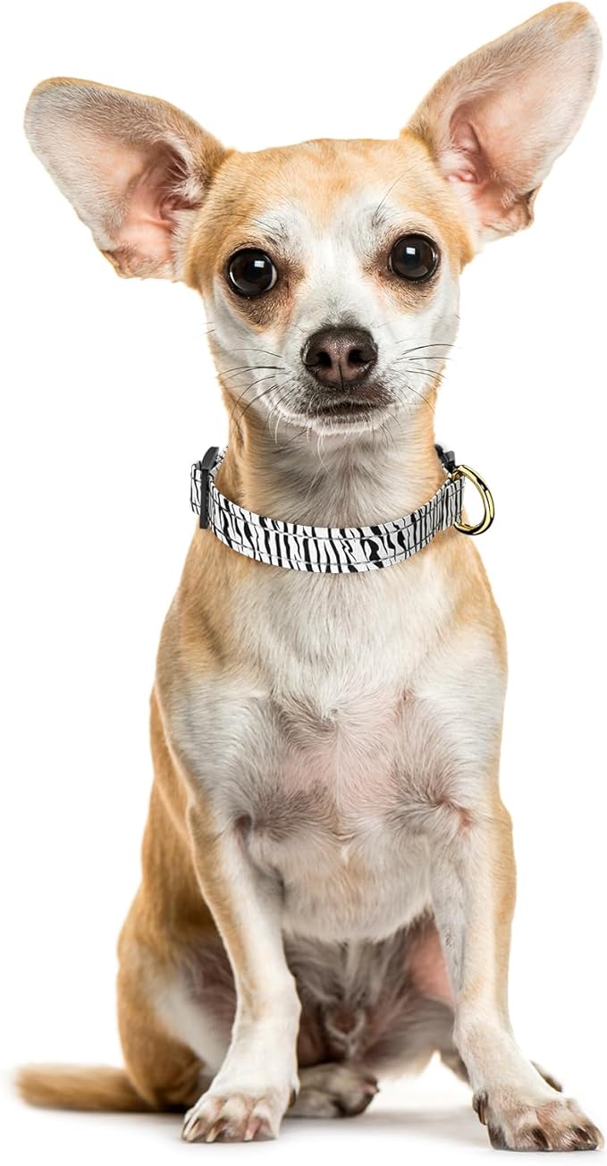 Reflective Dog Collar for Extra Small Dogs Cats, Cute Boho Adjustable - Image 2