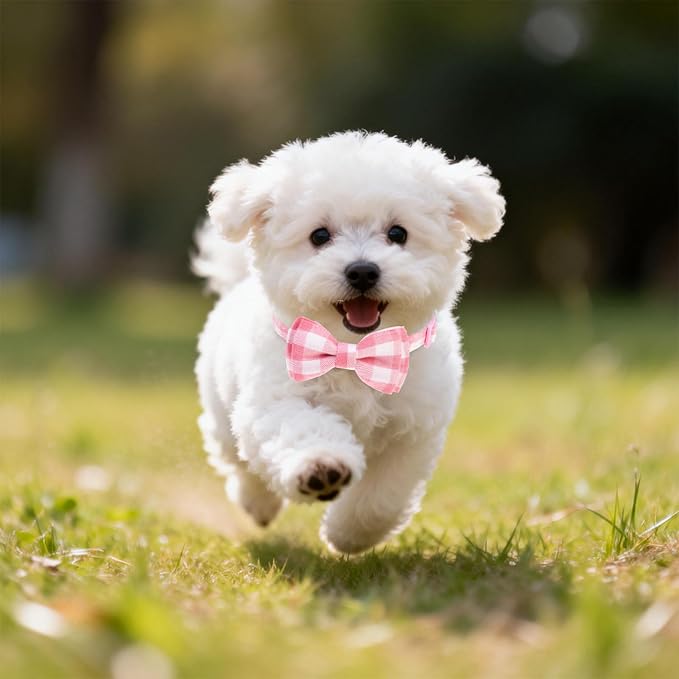 EXPAWLORER Cute Cat Collar Breakaway - Image 7