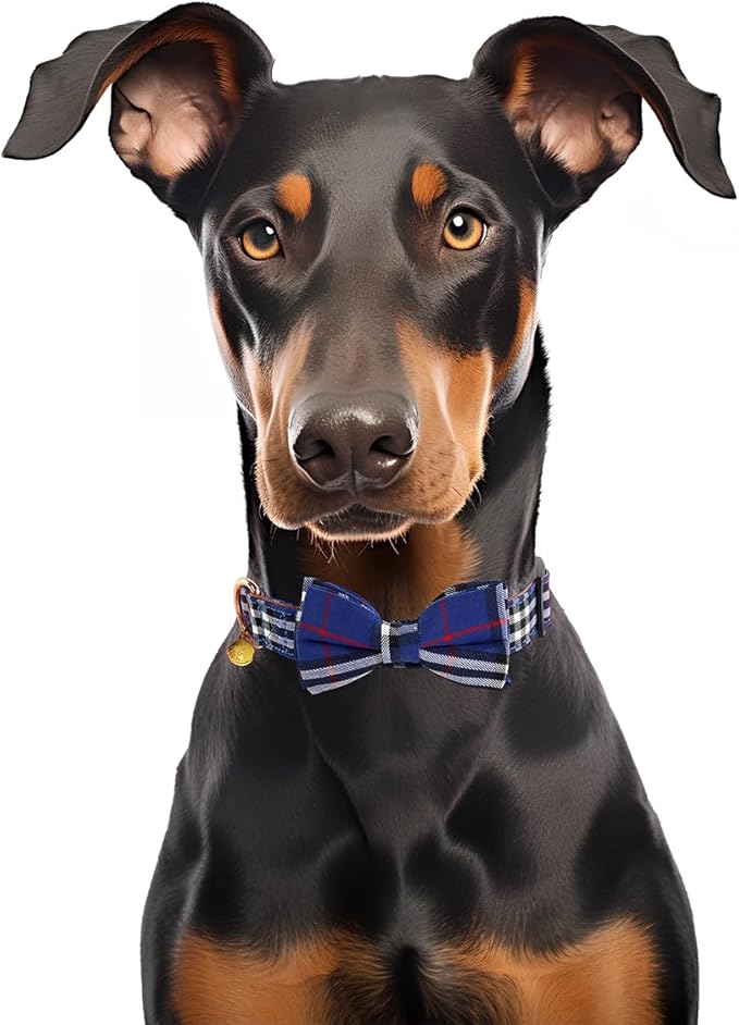 Yizepet Dog Collar with Bow Tie- Adjustable pet Collar - Image 6