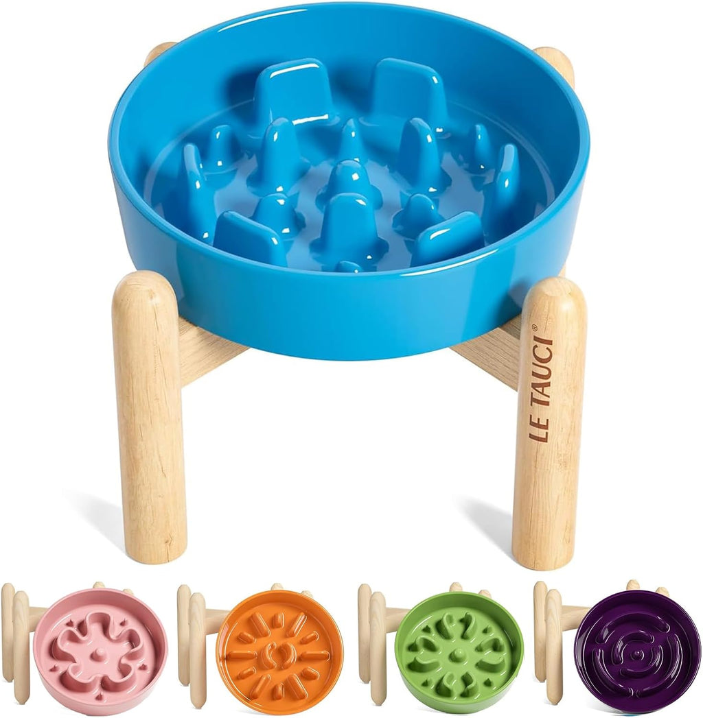 LE TAUCI Ceramic Slow Feed Dog Bowls, Elevated for Small Breeds, Anti-Gulping, Non-Slip, 6 inch, Green