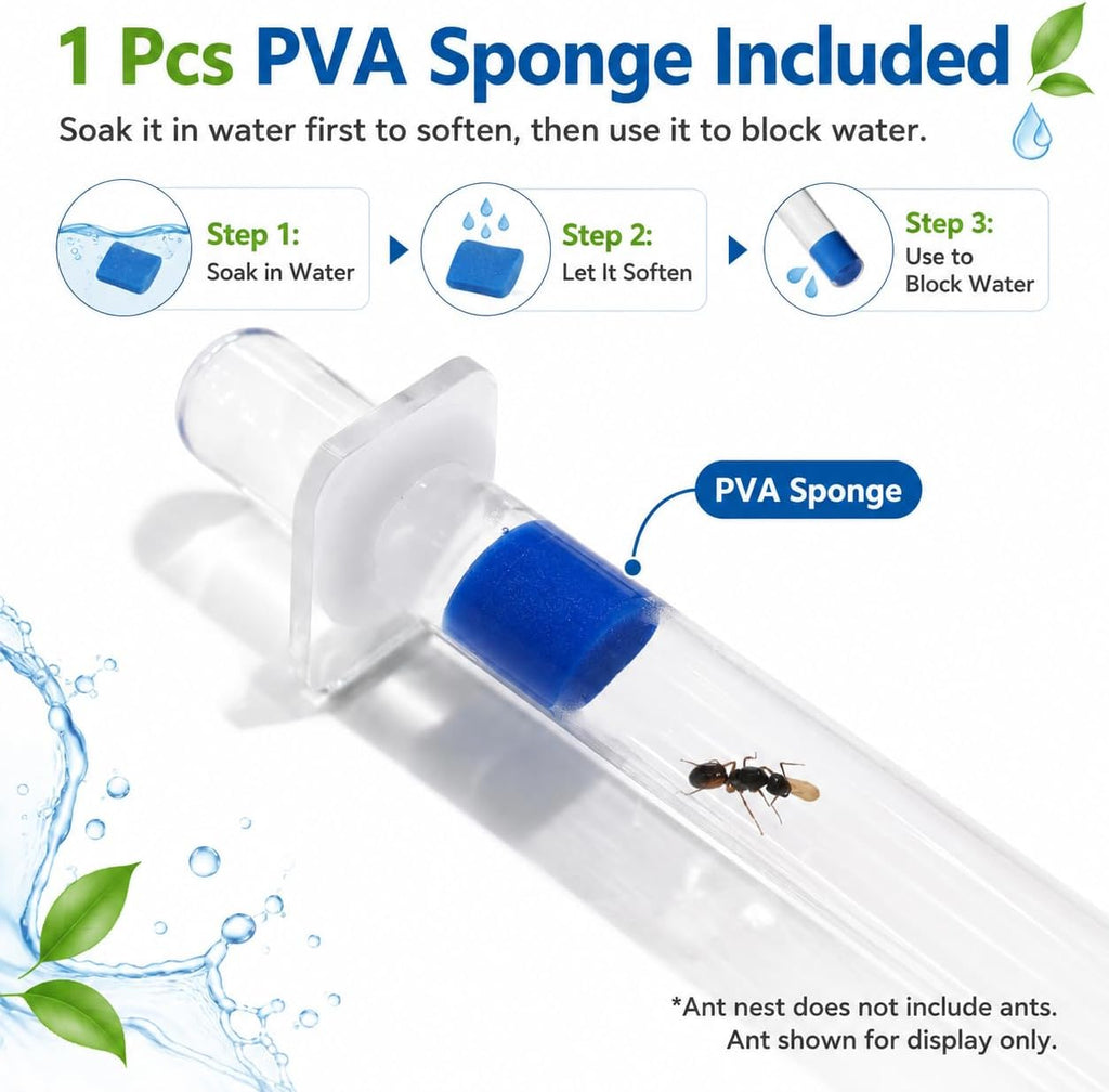 Mini Queen Ant Nest with Test Tube 2 x 2 x 2 Inch 18X180MM Transparent Acrylic Ant Farm for Small Colonies Starter Habitat Observation Formicarium