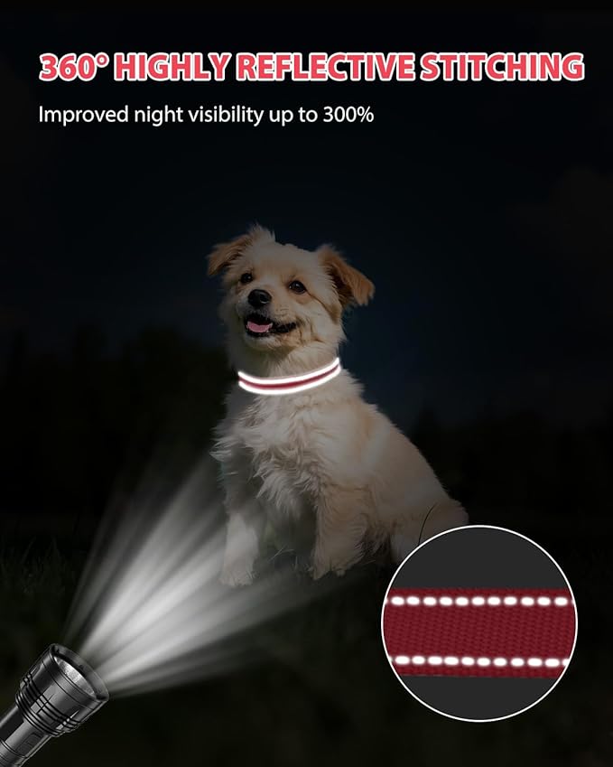 Joytale Small Dog Collar, Reflective and Adjustable Nylon Collar - Image 5