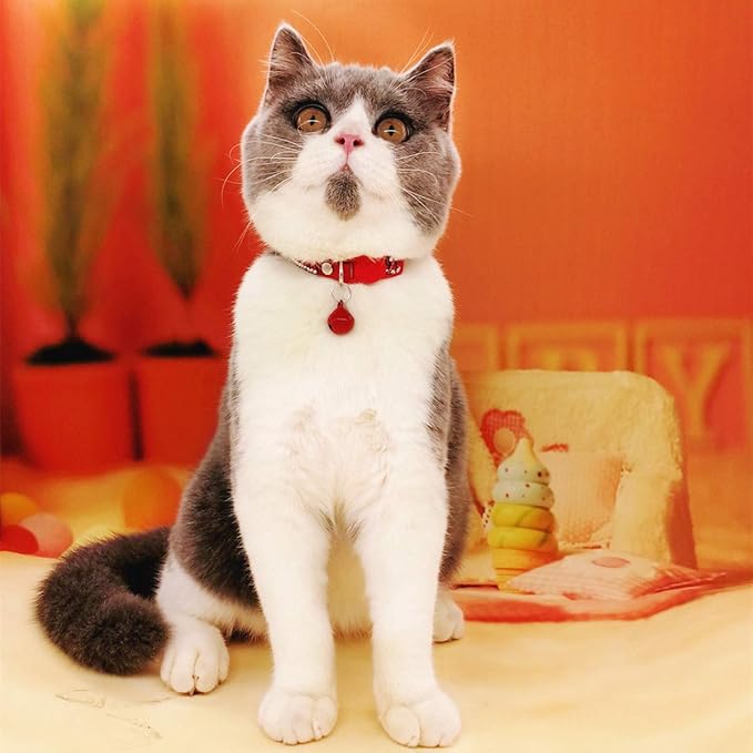 THAIN Basic Adjustable Cat Collar Bling Diamond Breakaway - Image 6