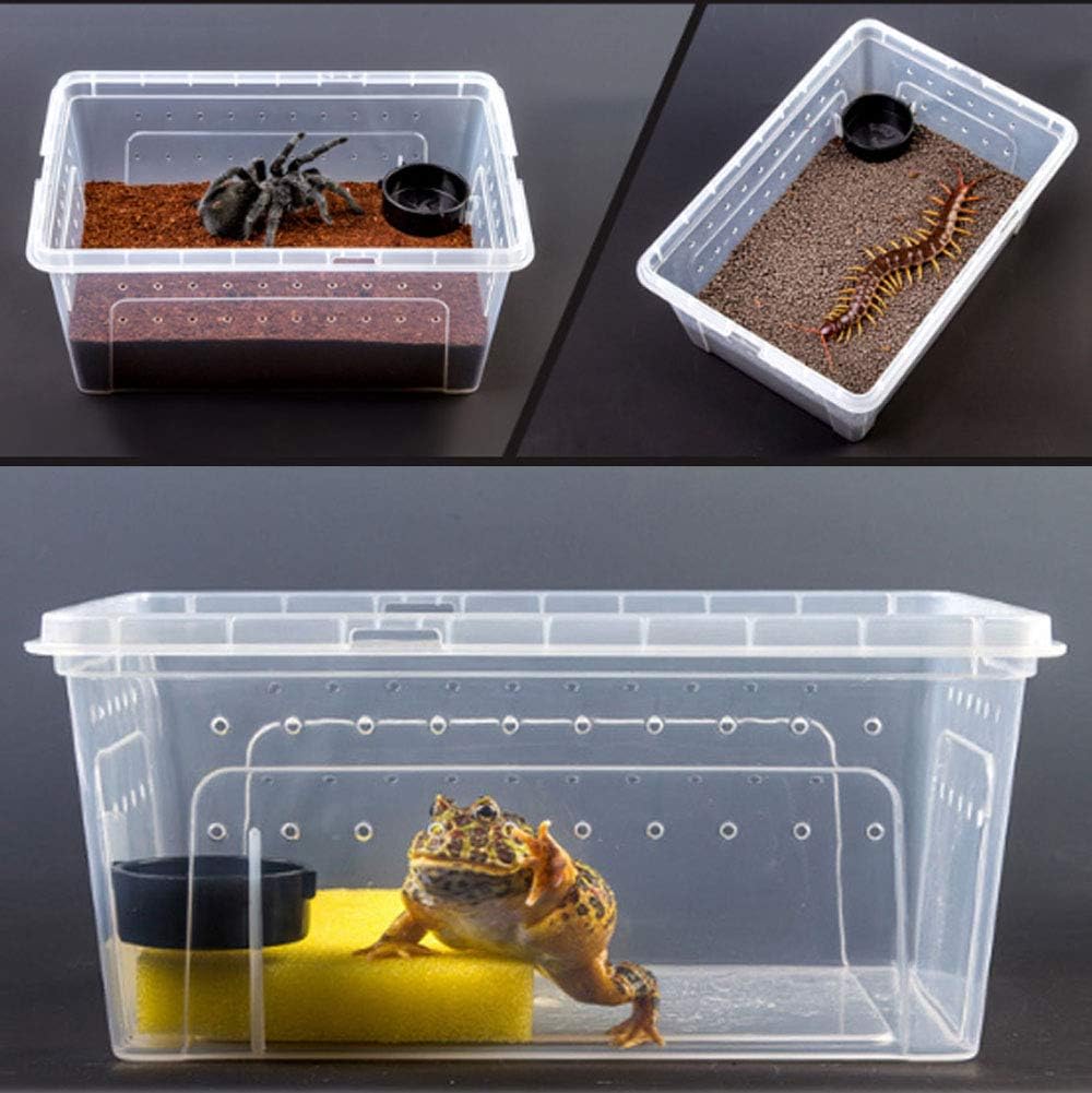 Hamiledyi Reptile Feeding Box Tarantula Habitat Cage Hatching Container