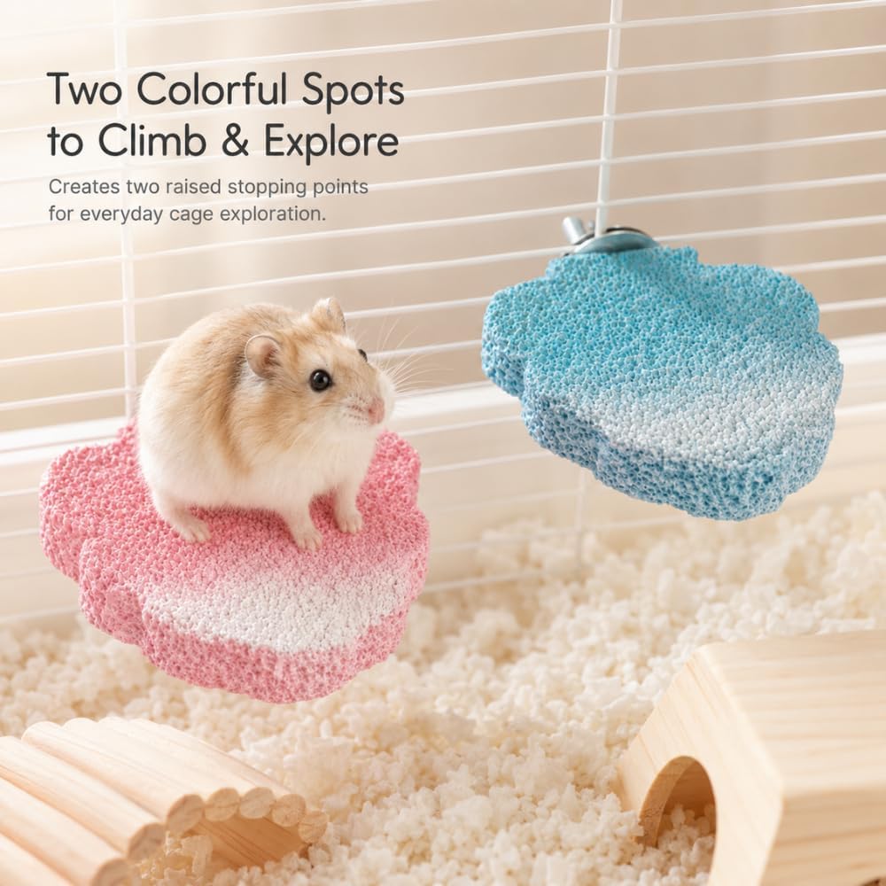 2-Pack Resin Hamster Cage Platforms for Dwarf Hamsters, Blue and Pink
