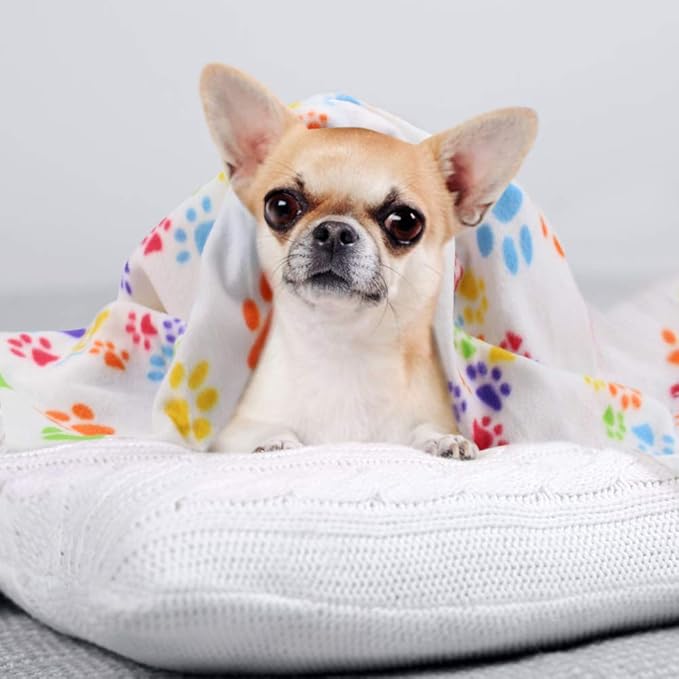 Comsmart Dog Blankets for Small Dogs, 6 Pack Puppy Blanket Cute Paw Print Pet - Image 5