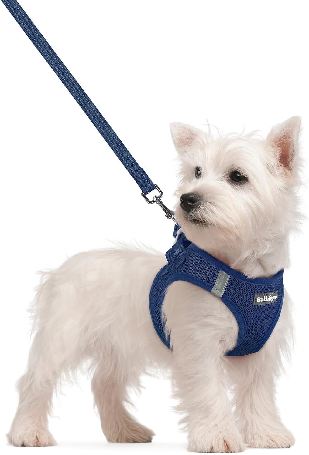 rabbitgoo Dog Harness Small Sized and Leash Set, Step-in Puppy Pet Vest