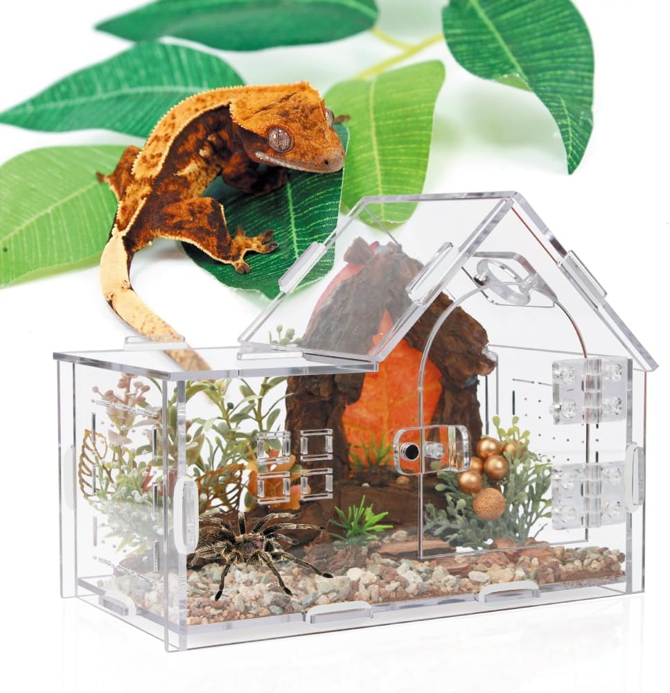 Acrylic Jumping Spider Enclosure House-Shaped Terrarium