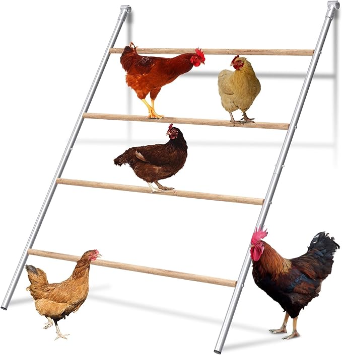 Chicken Perch, Chicken Coop Roosting Perch - Image 8
