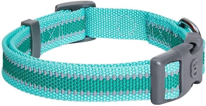 Blueberry Pet Essentials Reflective Adjustable Safety Nylon Dog Collars Medium - Image 5