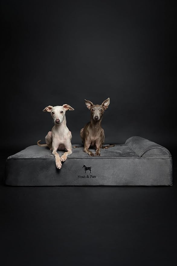 NOAH & PAW Large Dog Bed, Orthopedic Dog Beds, Eggshell Memory Foam Infused - Image 3