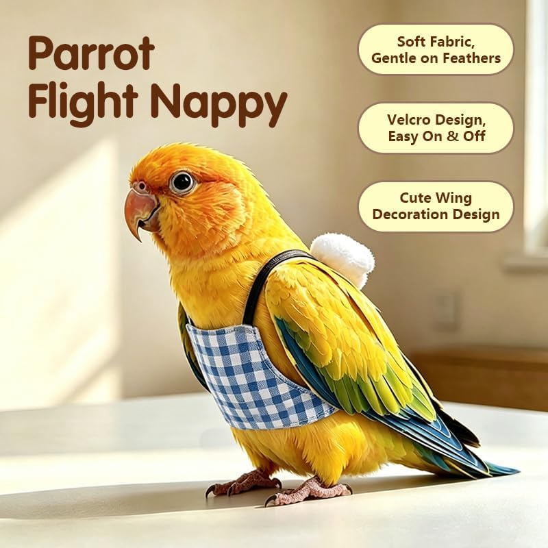 Bird Flight Suit with Leash, Parrot Harness Vest, Adjustable Bird Flying Training Clothes for Outdoor Activities, Walking, Exercise and Flight Training（Blue M）