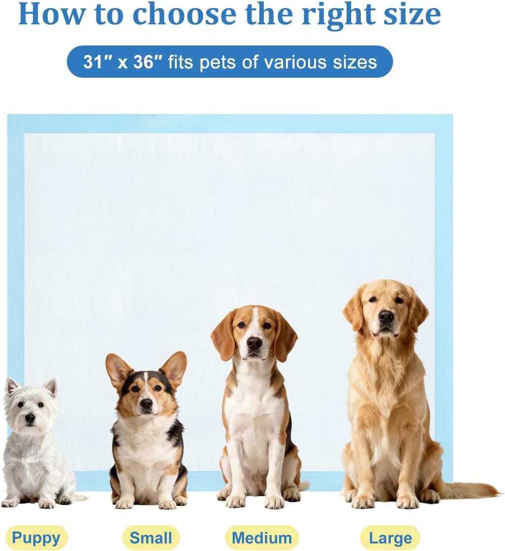 Dog Pee Pads Extra Large 31"x36" 60 Count, Disposable Puppy Training Pads, Super Absorbent Leak-Proof Pads for Dogs, Cats, Rabbits