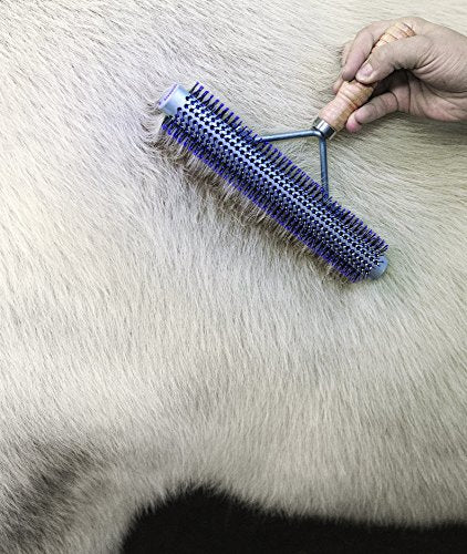 Weaver Leather Livestock Wide Range Brush, Silver/Purple
