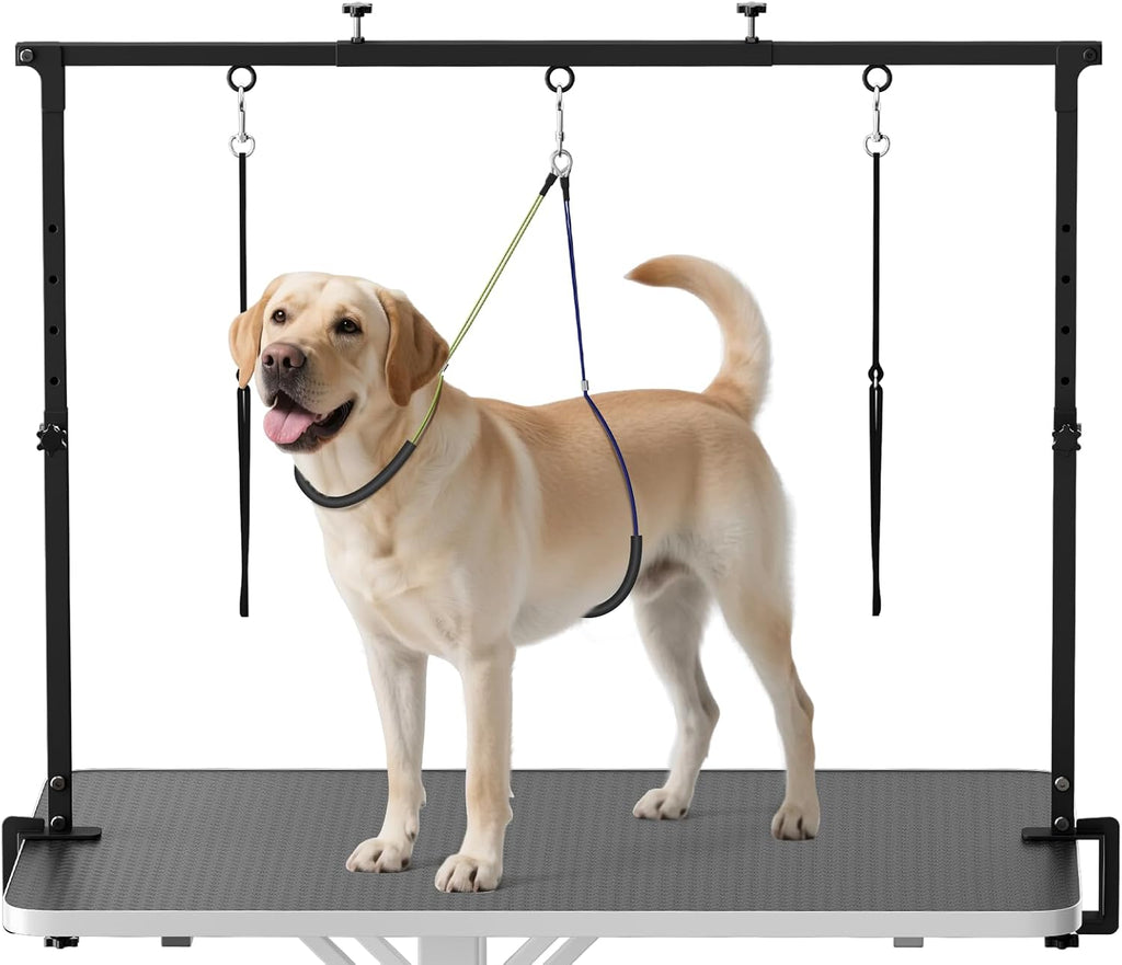 Dog Grooming Arm with Clamp for Large Dog, Adjustable Height to 33in and Width to 43in, Pet Grooming Table Arm with 2 Loop Noose & 2 No Sit Haunch Holder for Home & Store (Table Not Include)