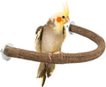 Rypet Parrot Natural Wood Stand Perch, Swing U Shape Natural Parrot Perch by RYPET
