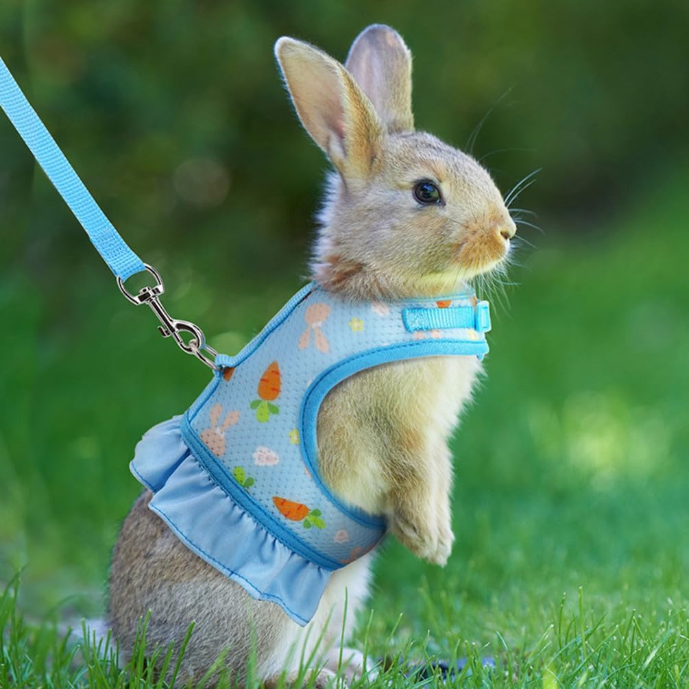 Bunny Harness and Leash Set,Rabbit Harness Small Pet Mesh Vest Orange L