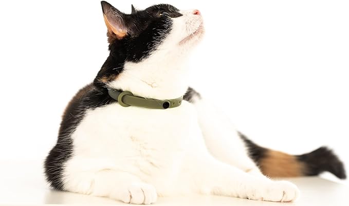 Breakaway Cat Collar - Image 7