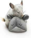 Paw Inspired Chinchilla Cuddler Plush Accessory Toy for Pets, 9 Inch, Gray