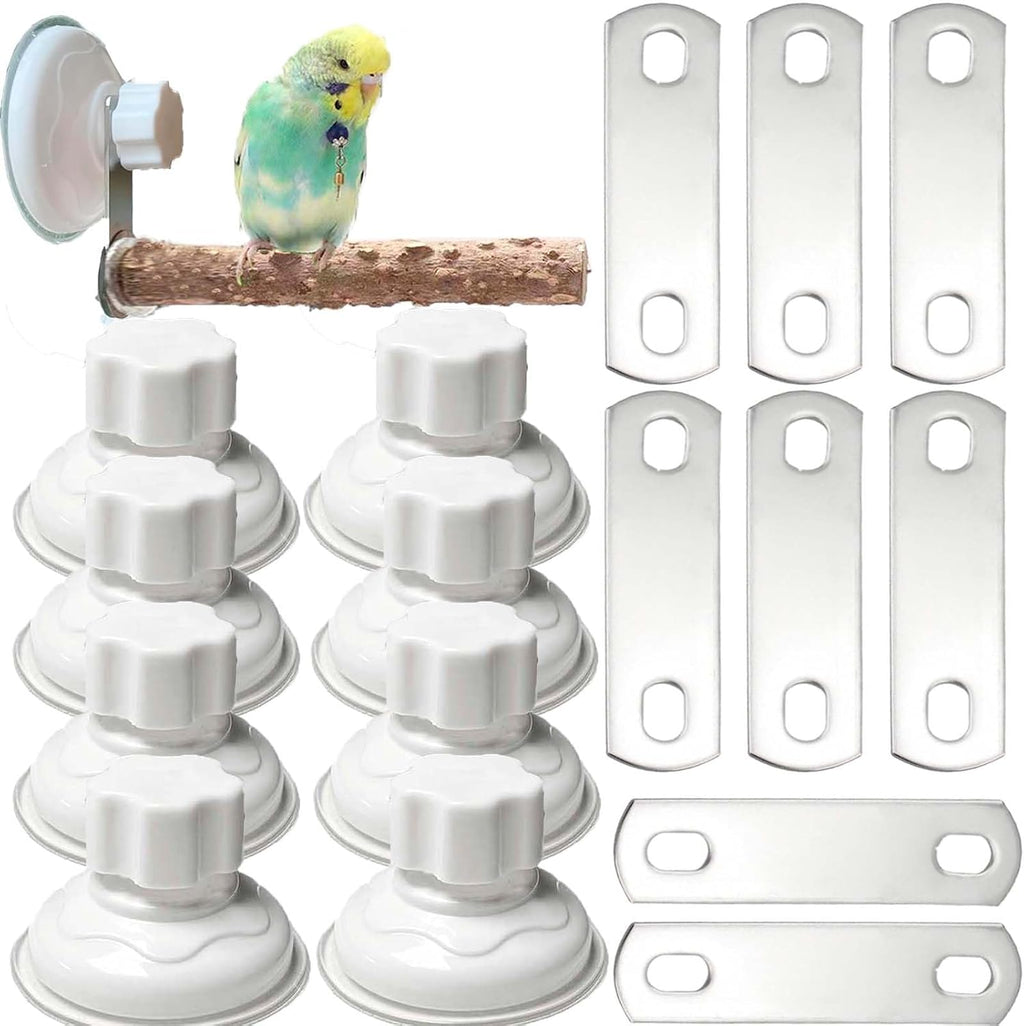 6 Pack Suction Cup Accessory Sets for Brid Perches Brid Stand Sticks Stand Toy Wood Platform for Parrot Parakeet Cockatiel Budgie Suction Cup for Window Bath Shower Car Travel Wall Outdoor Indoor