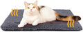 Mora Pets Self Warming Cat Bed Self Heating Cat Dog Mat Pet Pad Extra Warm
