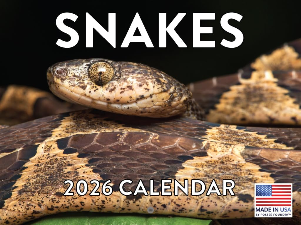 Tarantula Calendar 2027 Spider Monthly Wall Calender 12 Month