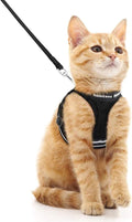 rabbitgoo Cat Harness and Leash Set by rabbitgoo