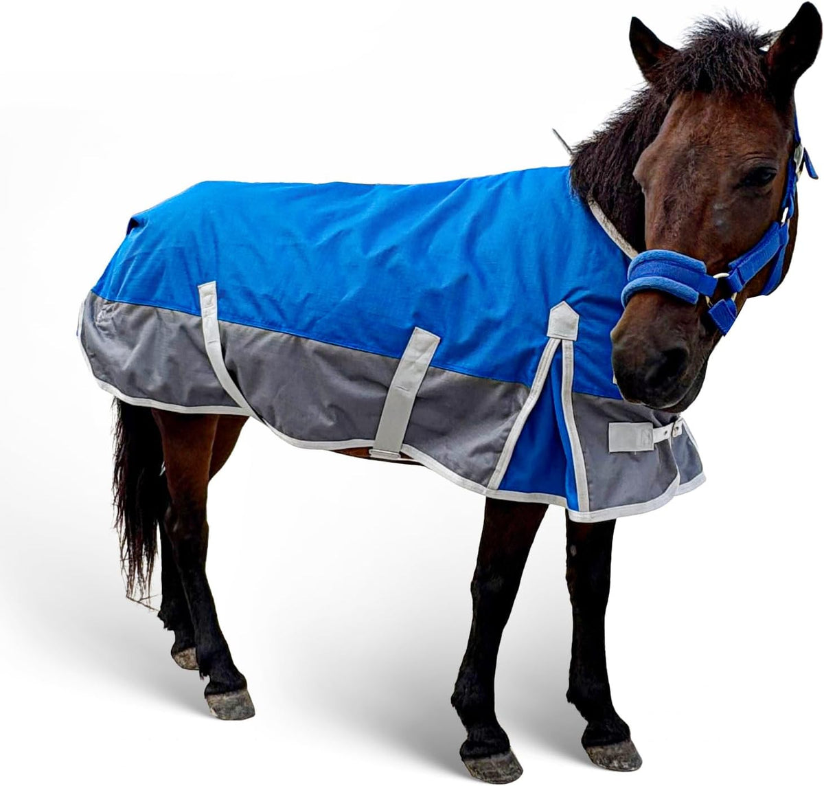 Waterproof 1200D Turnout Blanket for Pony & Mini Horse, 45 Inch