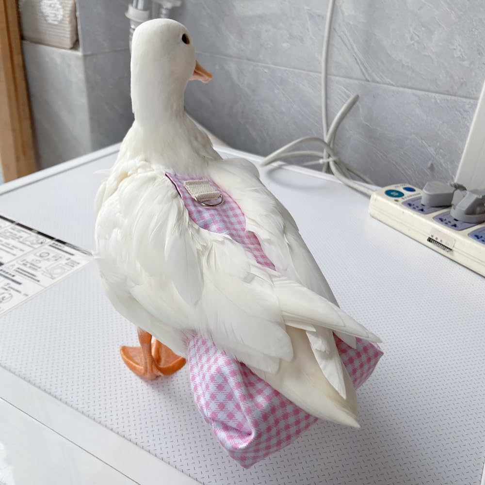 Duck Diapers, Chicken Diapers, Special Diapers for Poultry, Chicken, Duck and Goose Waterproof, Adjustable, Washable and Reusable Diapers，Poultry Supplies, Duck Supplies (4.41LB-6.06LB)