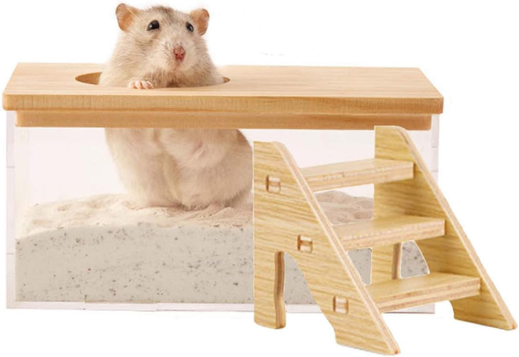 Transparent Pentagon Hamster Sand Bath Box for Hamster Cage Accessories, Digging Sand Container with Climbing Ladder, Large Sandbox for Hamsters Dust Bath and Play Sand，Large