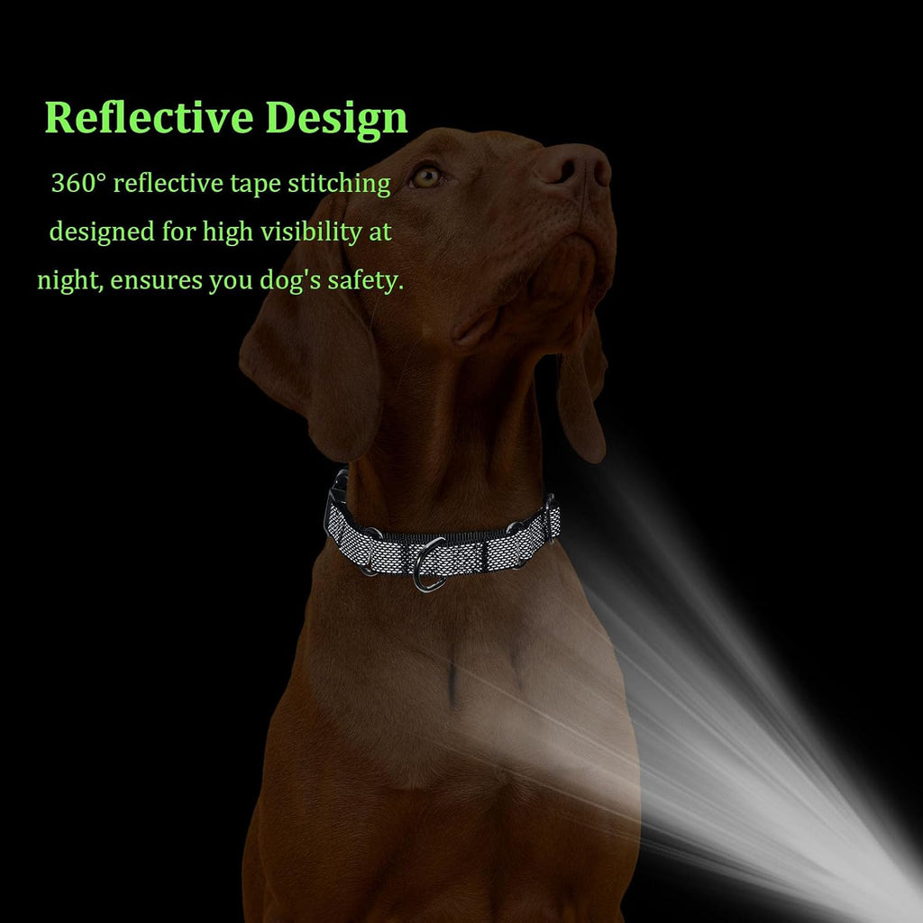 Reflective Martingale Dog Collar with Quick-Snap Metal Buckle