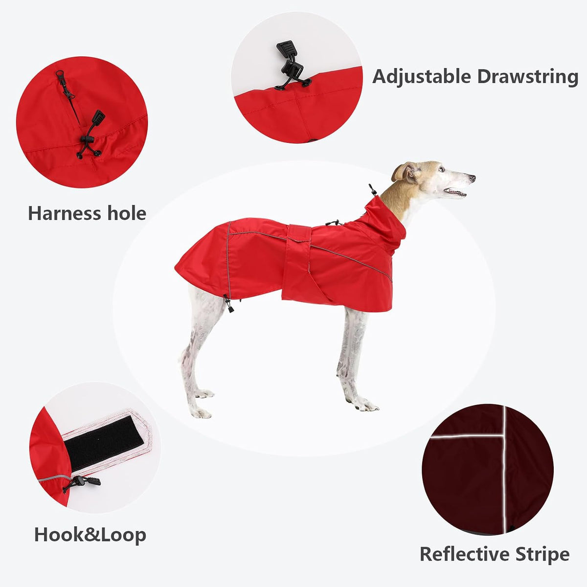 Greyhound Lurcher Raincoat, Whippet Rain Gear with Reflective Bar, Rain/Waterproof, Adjustable Bands and Drawstring in Autumn and Winter - Red - S