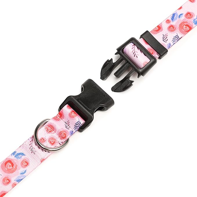 Mercano Adjustable Dog Collar - Image 5