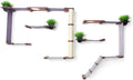 CatastrophiCreations Gardens Set for Cats Multiple-Level Wall Mounted Scratch, Hammock Lounge, Play & Climbing Activity Center Furniture Cat Tree Shelves